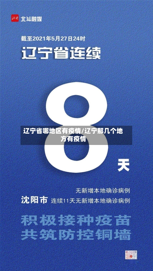 辽宁省哪地区有疫情/辽宁那几个地方有疫情