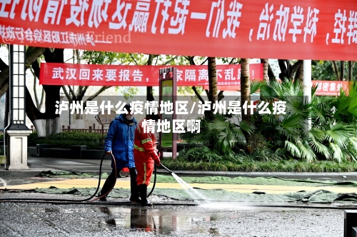 泸州是什么疫情地区/泸州是什么疫情地区啊-第2张图片