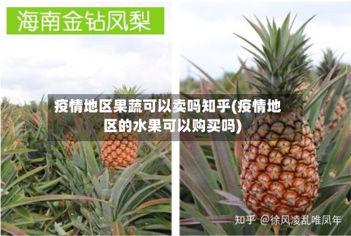 疫情地区果蔬可以卖吗知乎(疫情地区的水果可以购买吗)-第2张图片