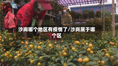 沙岗哪个地区有疫情了/沙岗属于哪个区