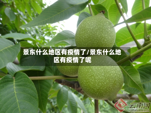 景东什么地区有疫情了/景东什么地区有疫情了呢