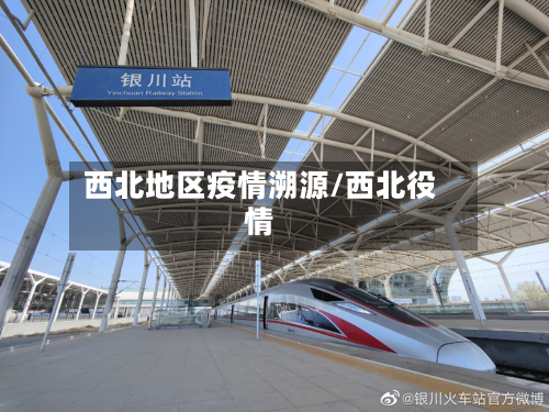 西北地区疫情溯源/西北役情-第3张图片