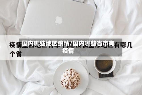 国内哪些地区疫情/国内哪些省市有疫情
