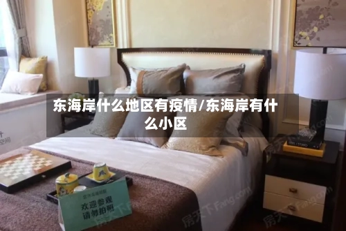 东海岸什么地区有疫情/东海岸有什么小区