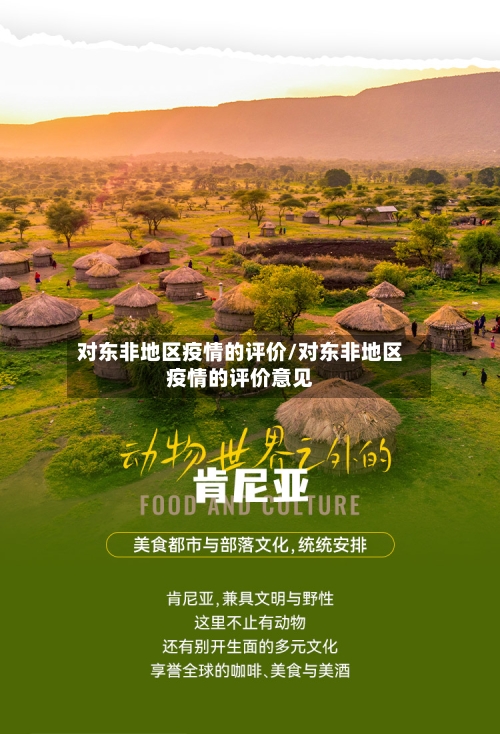 对东非地区疫情的评价/对东非地区疫情的评价意见