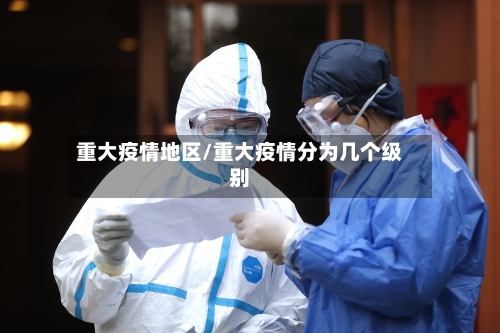重大疫情地区/重大疫情分为几个级别